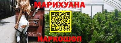амф Кингисепп