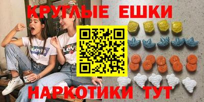 амф Кингисепп