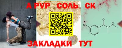 амф Кингисепп