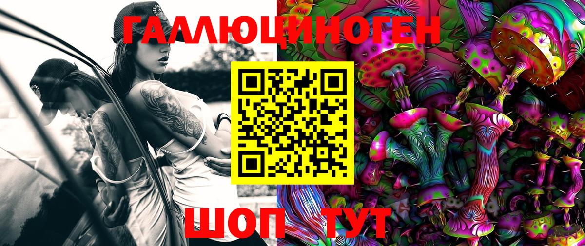 Псилоцибиновые грибы Psilocybine cubensis Тара