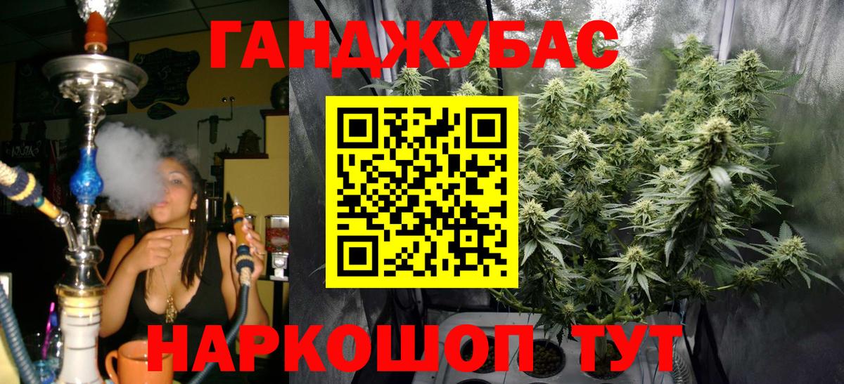 Марихуана сатива Тара